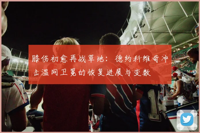 膝伤初愈再战草地：德约科维奇冲击温网卫冕的恢复进展与变数